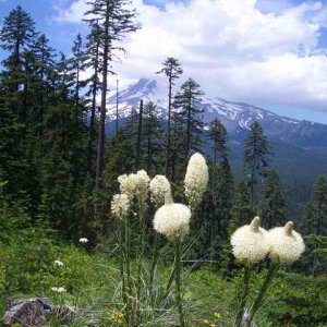 20060704 - 02 Trip w Amy & Sister to Badger Lake