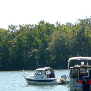 Our first cruise on C-Fle, the C-Dory gathering in October 08, Appalachicola Florida. About 7 boats cruised the river and had a great BBQ dinner!