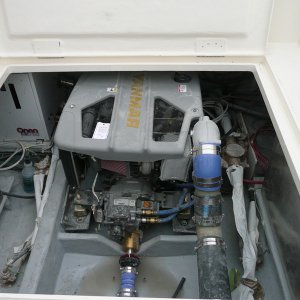 29-C-Dory-4
