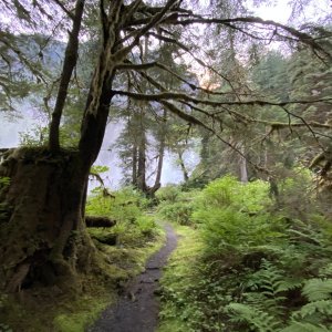 Trail to falls