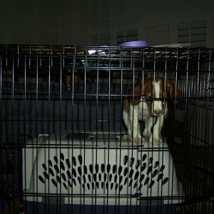 Chloe - how do I get out of here