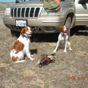 2-28-10 hunt