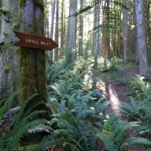 Trail to Small Inlet and Newton Lake