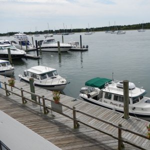 DSCN0079