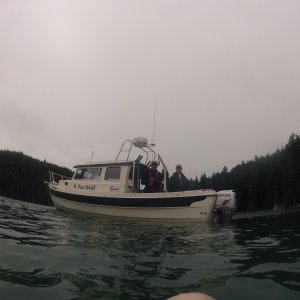 BROUGHTONS 2012