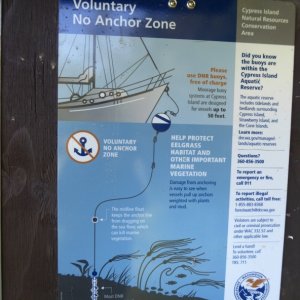 Unlike the State buoys that cost $15/night, the DNR buoys are free. Perhaps to discourage people from anchoring in the eel grass.