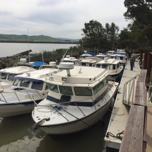 10 boats (+ Island boat) at Wheeler Island docks.