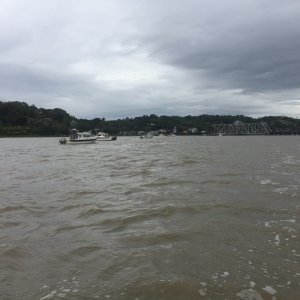 Waiting for the first train bridge in the Petaluma River to open!