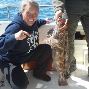 Jane's lingcod