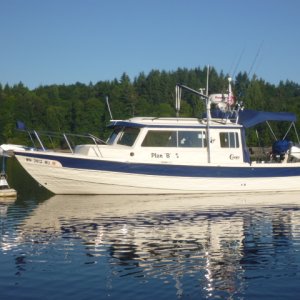 McMicken Island in June