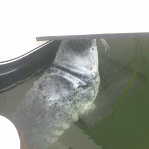 He spent 4 hours with us