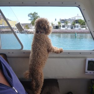Tucker got excited to see his friends.