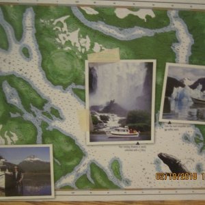 2009 brochure