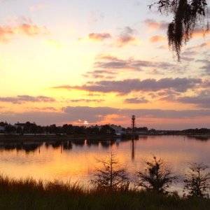 Sunset Park
(The Villages, FL)