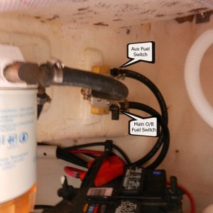 I split the output of the Racor into a Y-fitting and put two valves on the outputs, one for the main engine, and one for the auxiliary port.