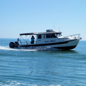 Gulf side, Apalachicola Gathering 2014
