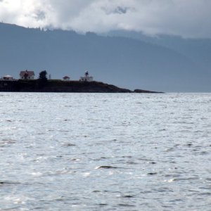 Point Retreat from Saginaw Channel
