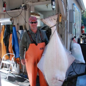 145 # Halibut, Elfin Cove, SE Alaska