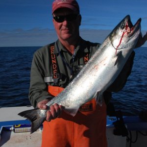 King Salmon, Gulf of Alaska, SE Alaska