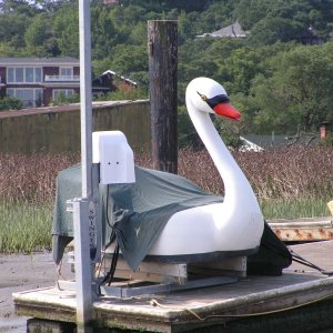 New type of dingy?