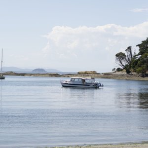 shallow bay, sucia island