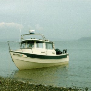 (R/J): Sensei anchored out near the clam bed.