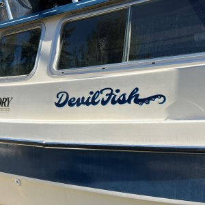 IMG 8498