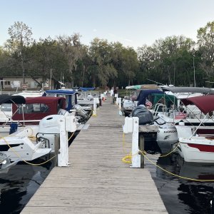 IMG 3957