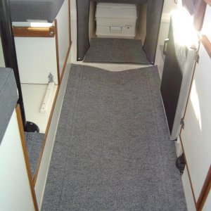 D) carpet