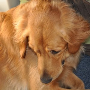 Maggie