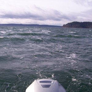 A little windy today