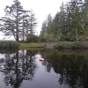 This could be a mooring buoy in front of this camp area or a marker for a submerged rock.  Probably the latter.