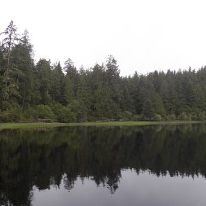 Another quiet cove.  This one also had a row of little pilings to the right.
