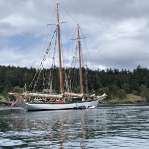 Schooner Zodiac