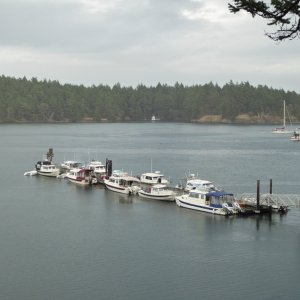 Prevost harbor dock Saturday afternoon - 10 boats all C-dorys