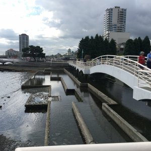 Nanaimo waterfront
