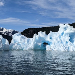 Iceburgs