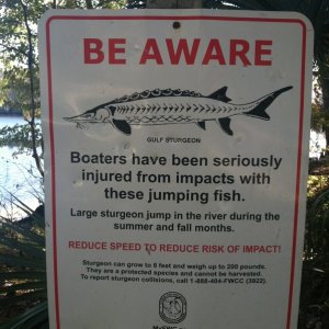Lots of these signs all up and down the river. Since we were there in the middle of winter it was not a problem for us and we did not see any jumpers.