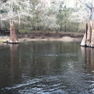 One of many small springs tucked off the river.