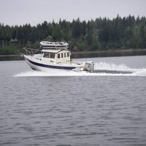 IMGP1652