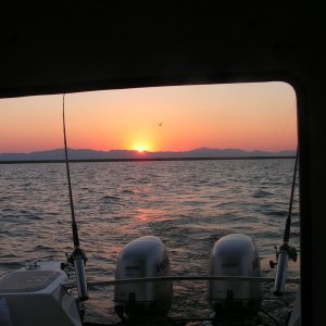 Sunset @ Willard Bay Utah... also caught the state bird heading home to bed...