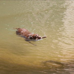 Elimae doing what she does