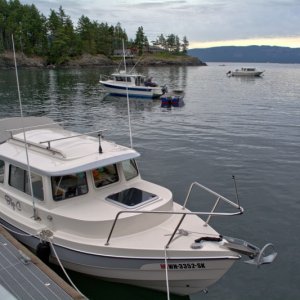 I found a deserted Doe Island, so decided to pull in for the evening. Bay full of Bellingham-built boats!