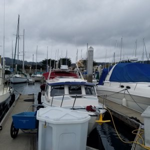 Back in our Monterey slip after 2 months away, over a month early so it is still cold, gloomy and rainy here. Overall our trip down Baja and our time out on the water was successful and Sierra did very well, pretty amazing actually!