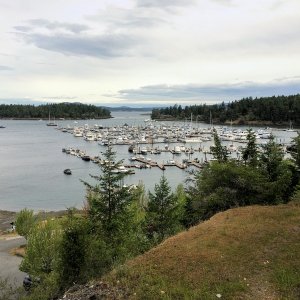 Friday I rode my bike up to Roche Harbor. It was a pretty windy morning.