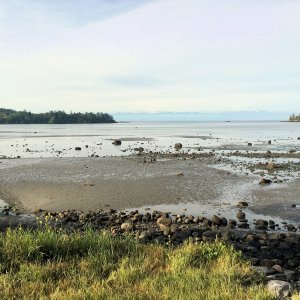 On Saturday morning I went on another ride, this time the southern end of the island. This is False Bay, on my way to Cattle Point