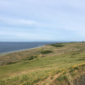 Road to Cattle Point, looking West