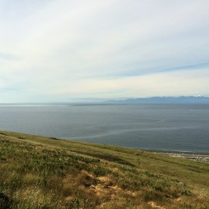 Road to Cattle Point, looking South