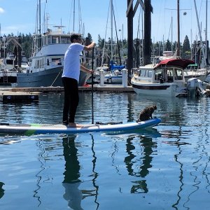 Guy paddle boarding with his cat on Saturday