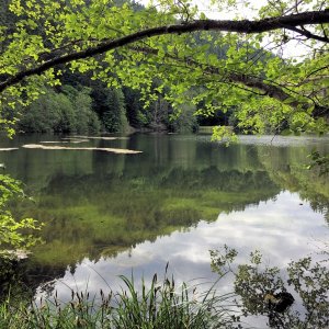 Continuing south to Lime Kiln park, theres a little lake on the east side of the road, with hiking trails.